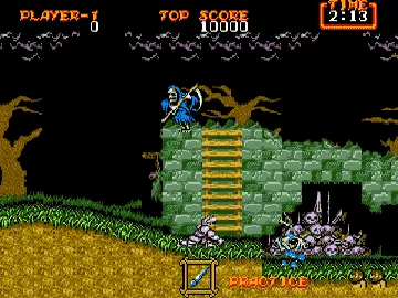 Ghouls'n Ghosts (USA, Europe) (Rev A) screen shot game playing